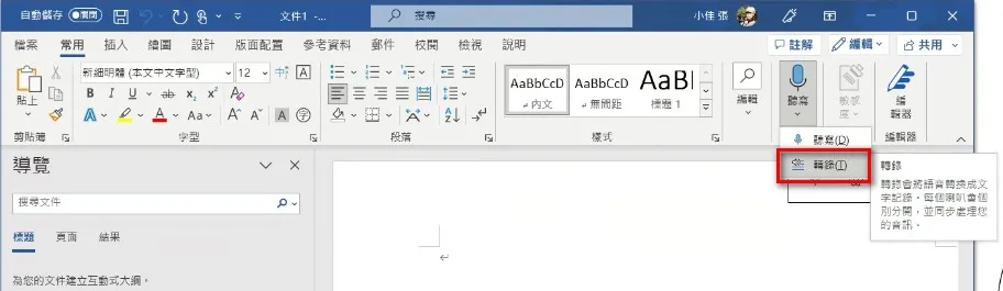 Word 開始使用轉錄功能