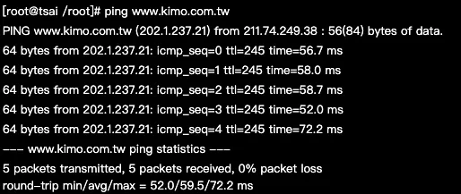 ping 測試網路連通的執行結果