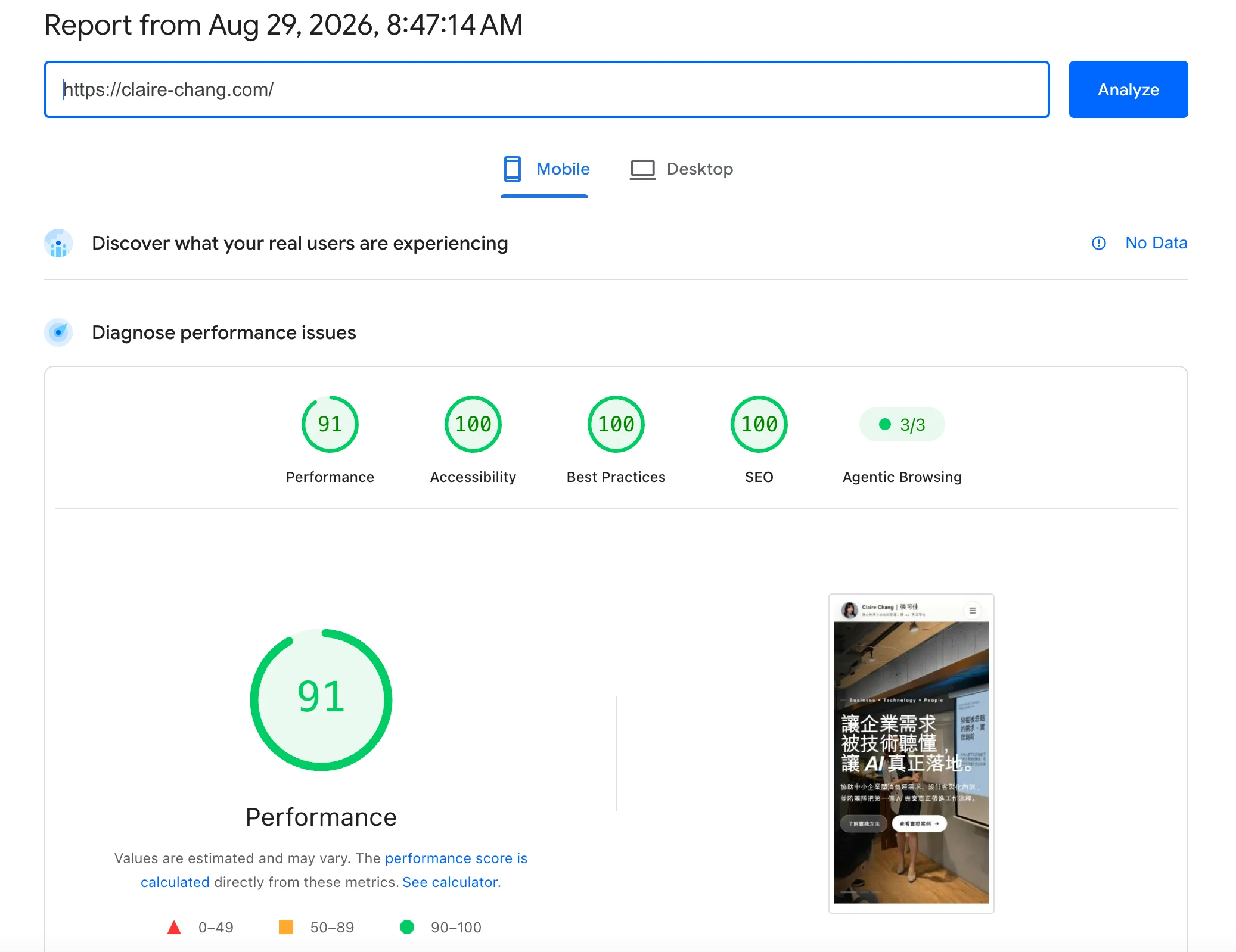 PageSpeed Insights 手機版測試結果，首頁 Performance 91 分、Accessibility、Best Practices、SEO 均為滿分