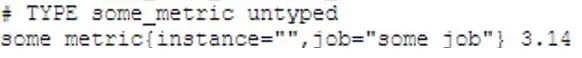 透過 curl 查詢 Pushgateway metrics 並看到 some_metric 的截圖